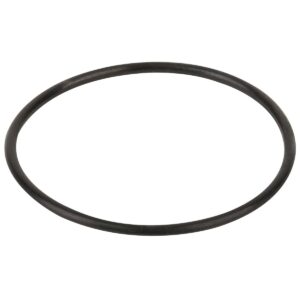 Уплотнительное кольцо крышки префильтра насоса Hayward (RPUM0003.09R)